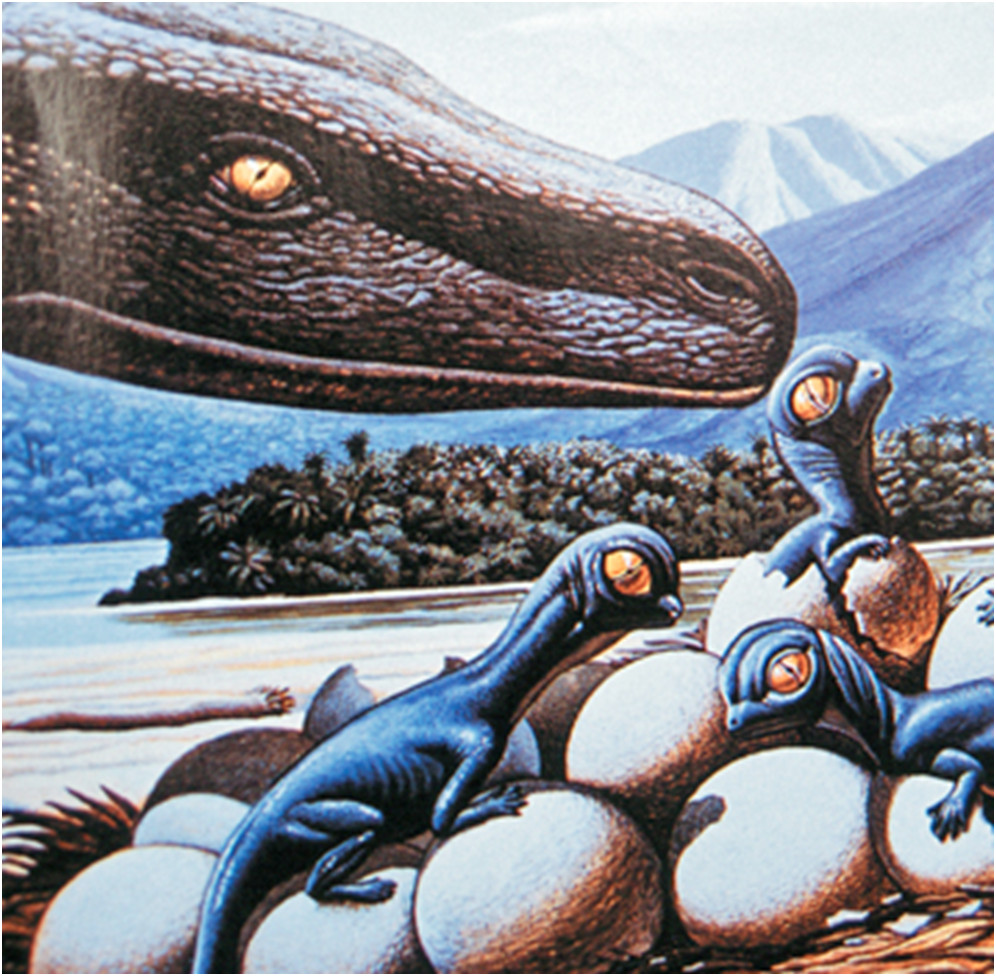 Nido di Dinosauro Sauropode (ricostruzione)