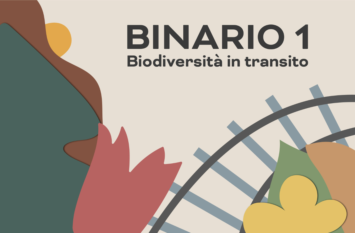 Binario 1. Biodiversità in transito