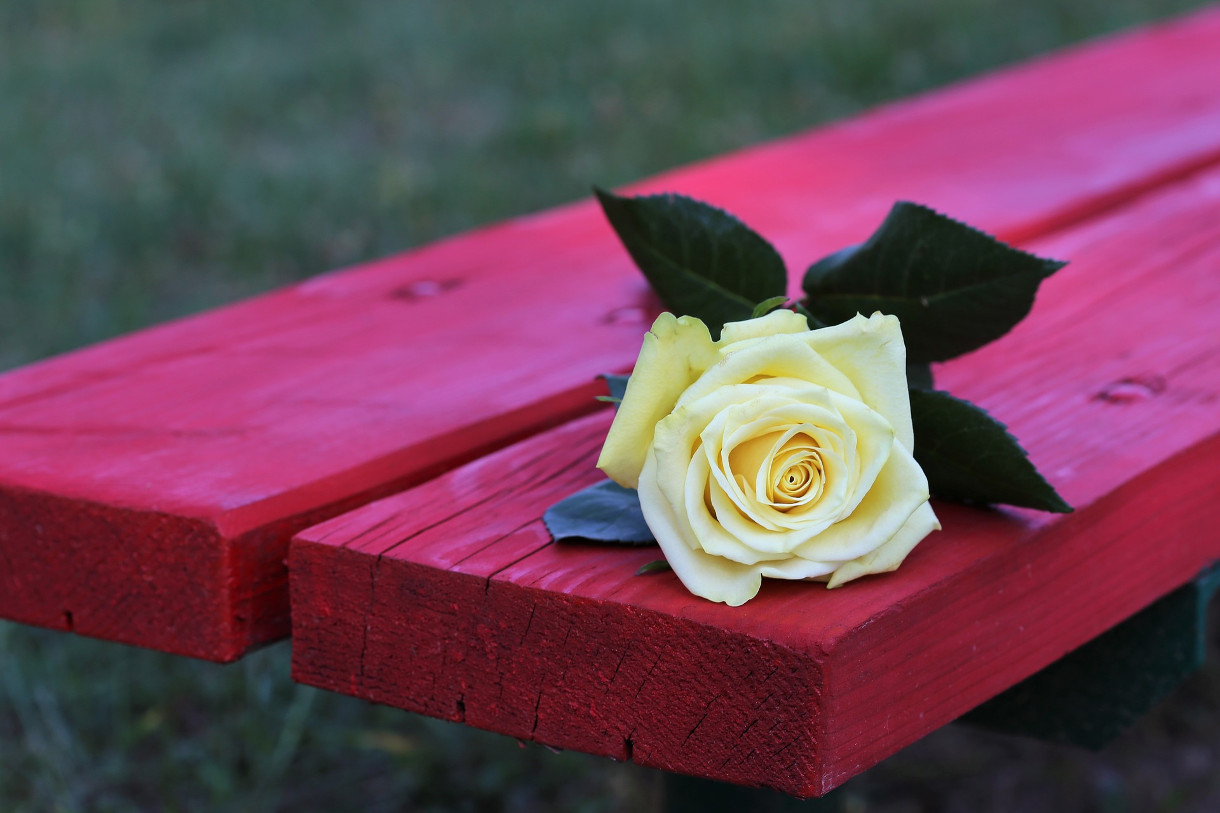 25 novembre, Giornata internazionale per l'eliminazione della violenza contro le donne