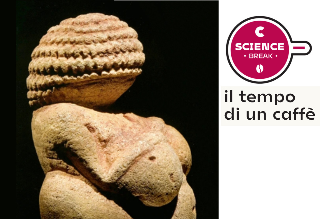 Science Break, Venere di Willendorf