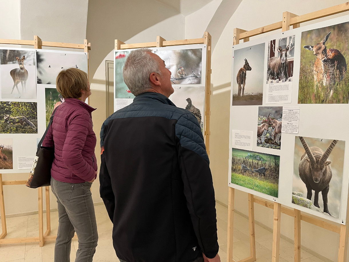 Due mostre fotografiche al Museo della Città