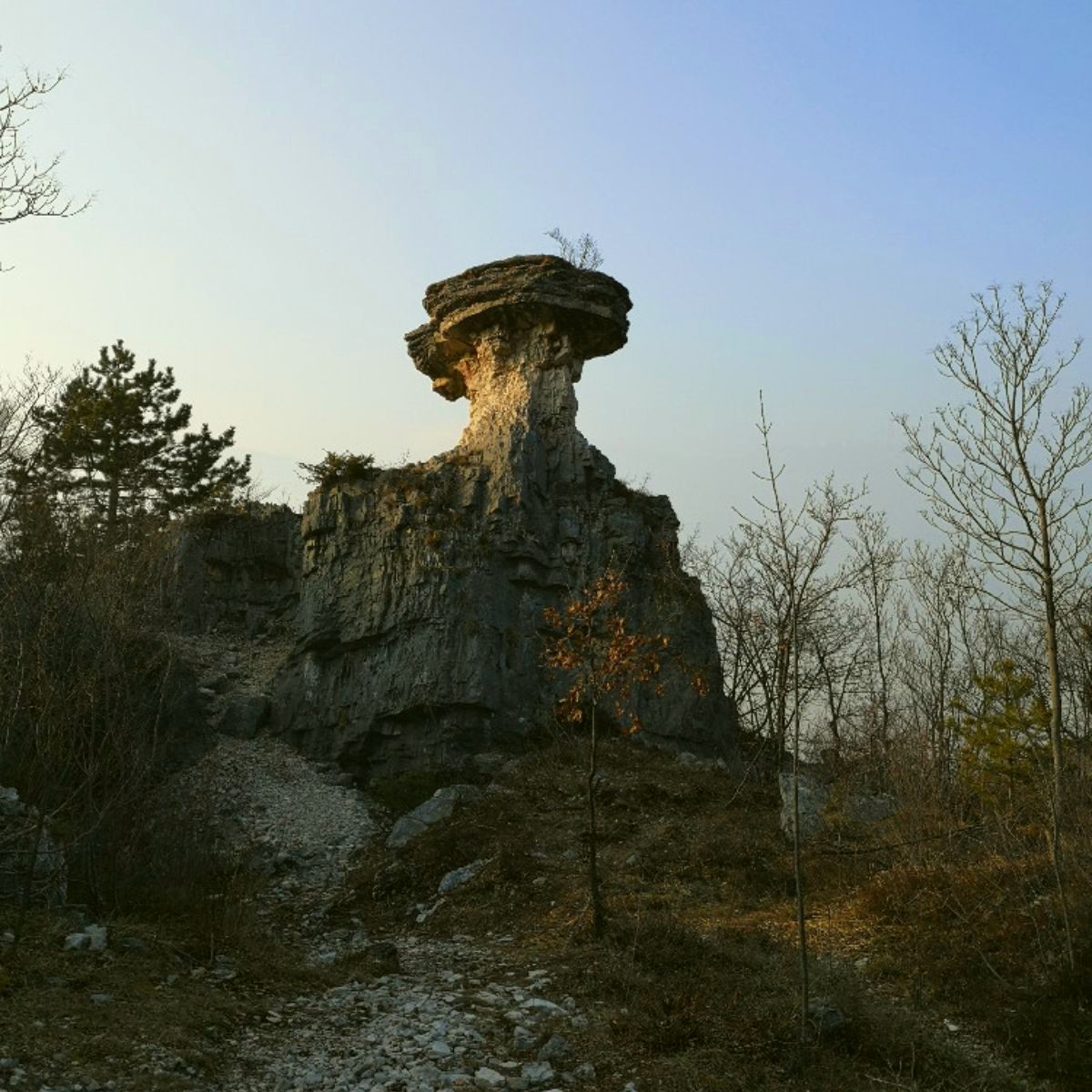 passeggiata-albaredoOK