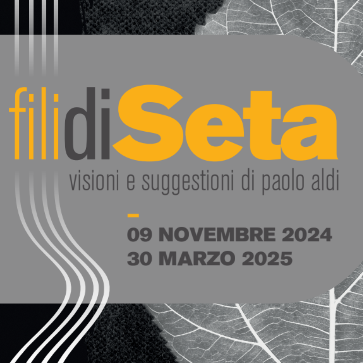 filiSeta_mostra