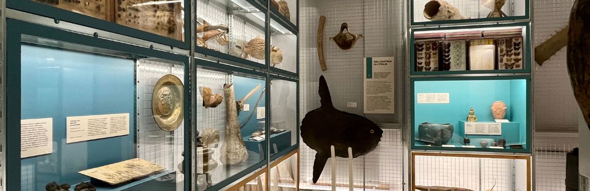 Sala Dal mondo al Museo