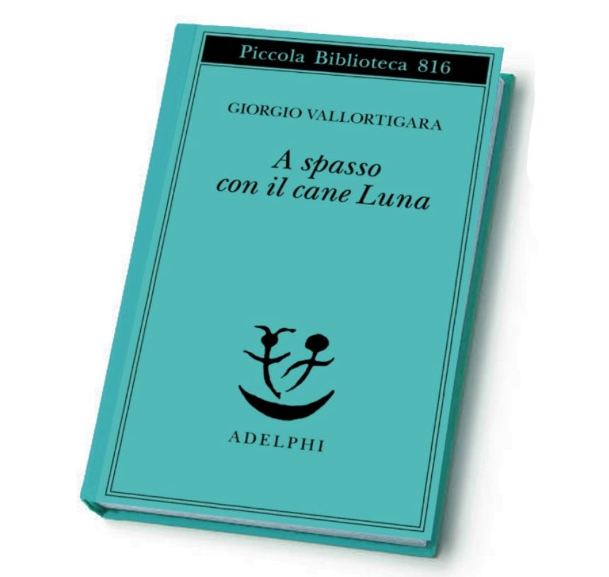 A spasso con il cane Luna