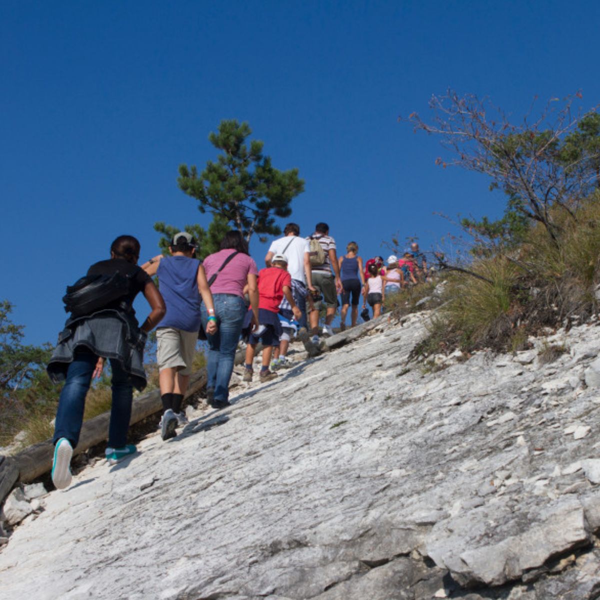 sulle orme dei dinosauri