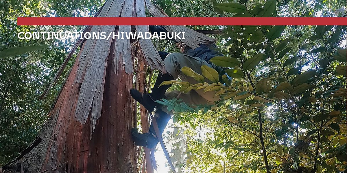 Continuations/Hiwadabuki