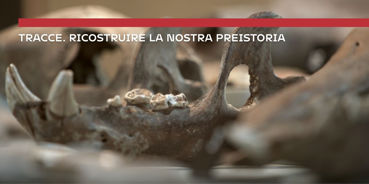 tracce - ricostruire la preistoria