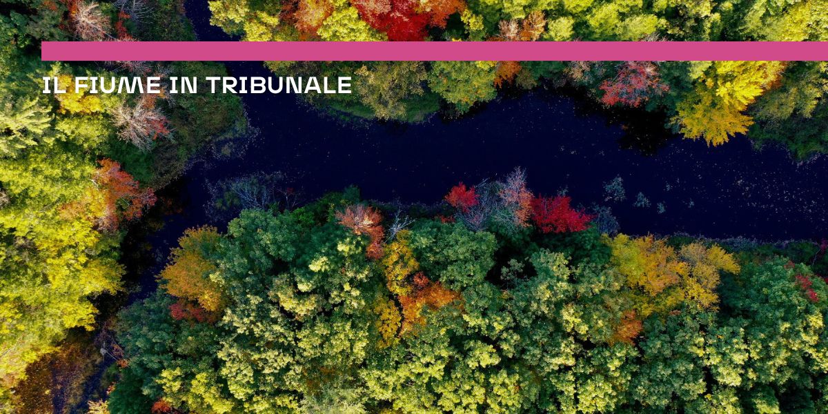 Il fiume in tribunale