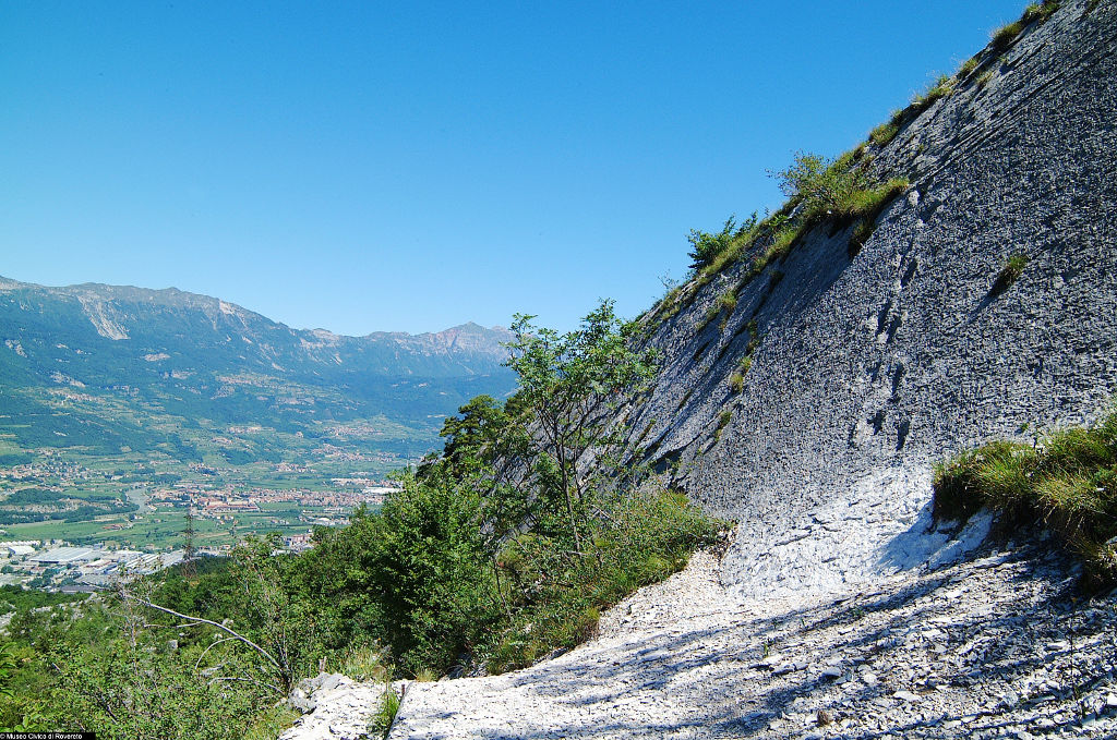 Le orme dei dinosauri ai Lavini di Marco (Archivio Fondazione Museo Civico di Rovereto / foto Giulio Malfer)